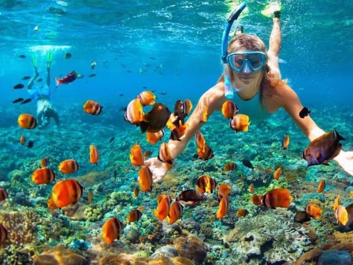 Snorkel/Dive at Caño Island in Uvita Costa Rica with Luminosa Hostel
